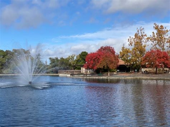 Spectacular S in Walnut Creek Today: Your Ultimate Guide