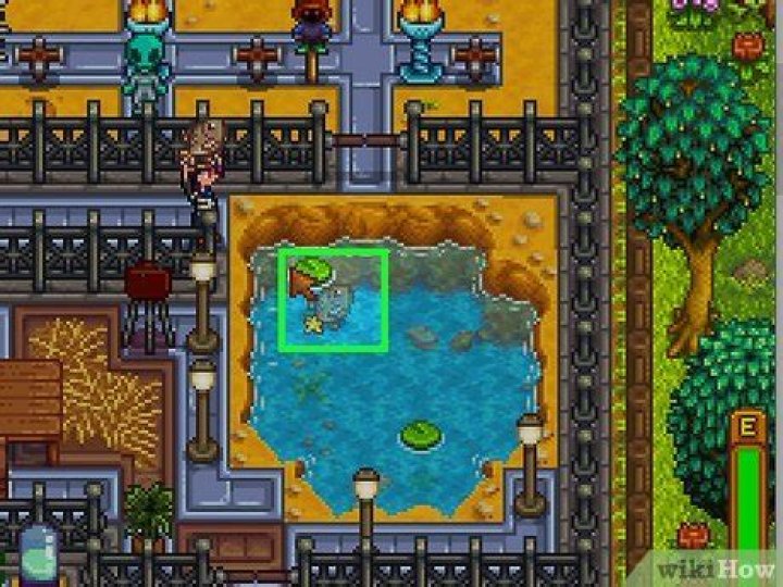 Stardew Tilapia: A Comprehensive Guide for Harvesting Success