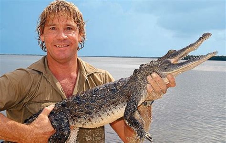 Stephen Robert Irwin: The Legacy of the Crocodile Hunter