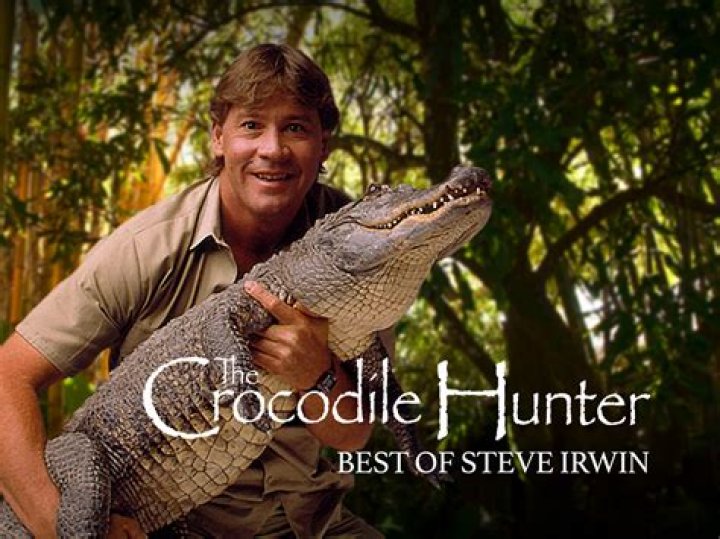 Steve Irwin Timeline: A Comprehensive Journey Through the Life of the Crocodile Hunter