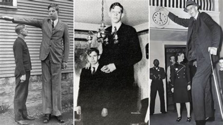 Tallest Man in the World: The Remarkable Life of Robert Wadlow