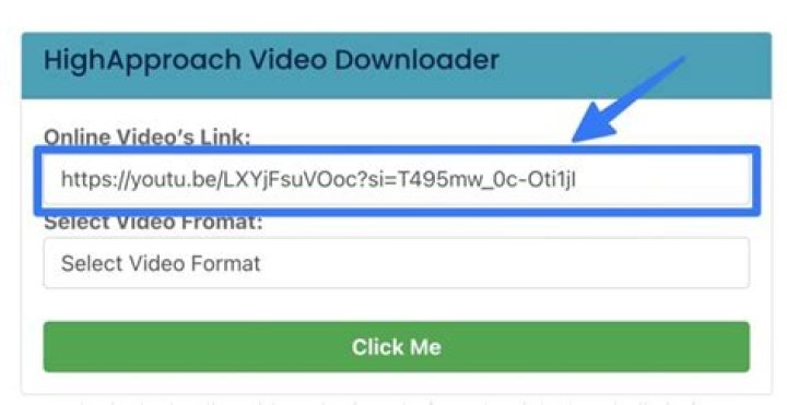 The Comprehensive Guide to Using SS YouTubeDownloader: A Reliable Tool for Video Downloads