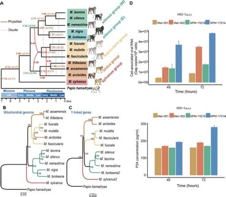 The Enigmatic Curly Leach: Uncovering His Age and More