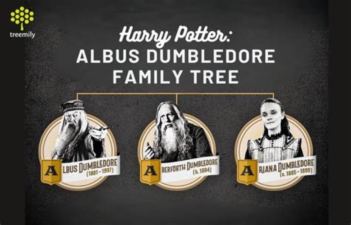 The Enigmatic Journey of Albus Dumbledore: A Comprehensive Exploration