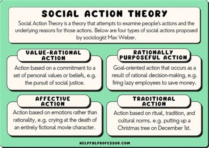The Meaning of Social Butterfly: Understanding the Concept and Its Impact on Social Dynamics