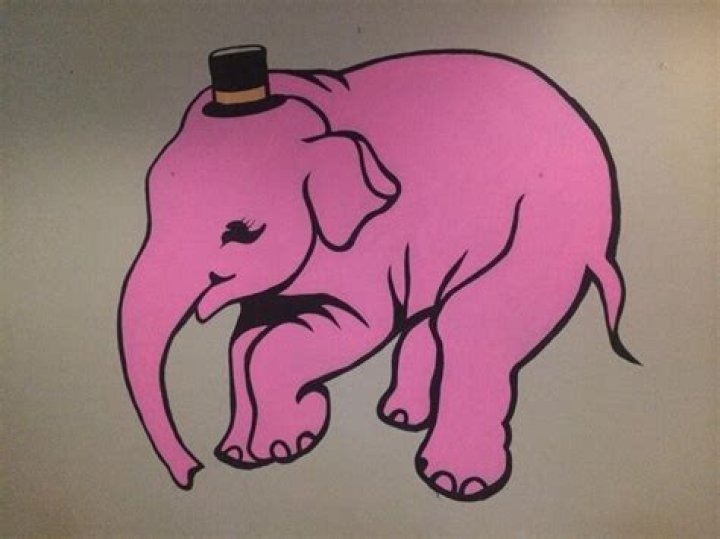 The Pink Elephant San Francisco CA: A Vibrant Experience in the Heart of the City