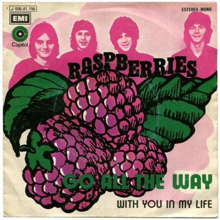 The Raspberries Please Go All the Way: A Deep Dive Into Their Journey and Legacy