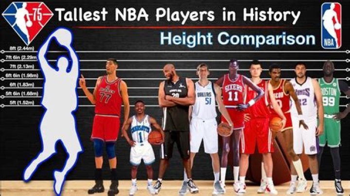 The Tallest NBA Players: A Comprehensive Overview