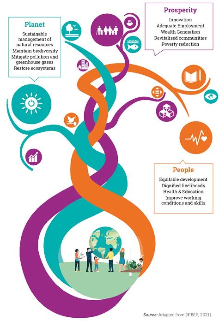 Tiger Trash: Understanding the Impact and Solutions for a Sustainable Future