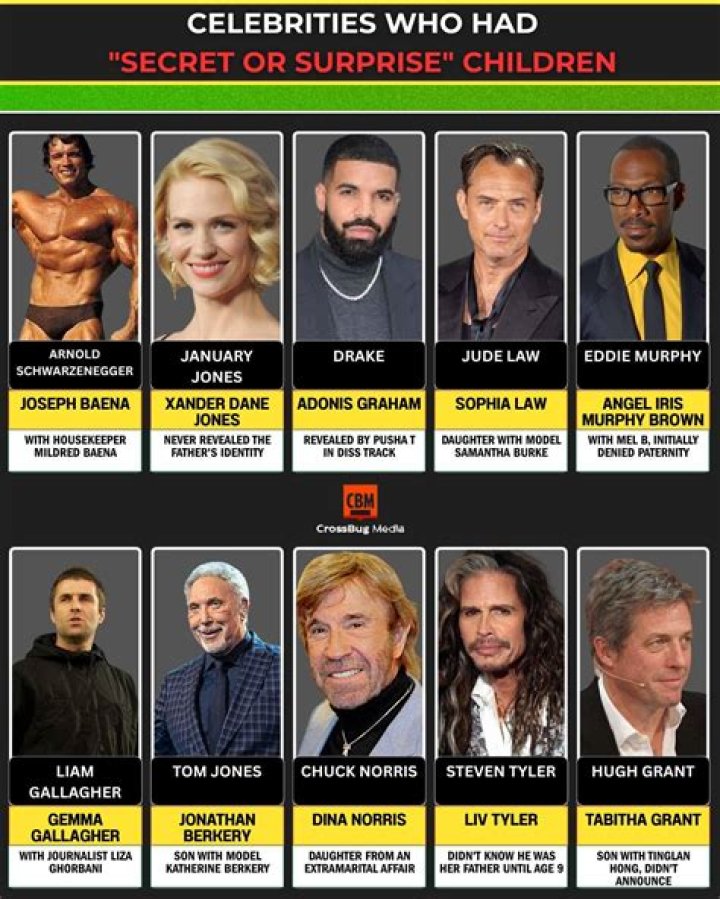 Tinglan Hong: The Journey of a Rising Star