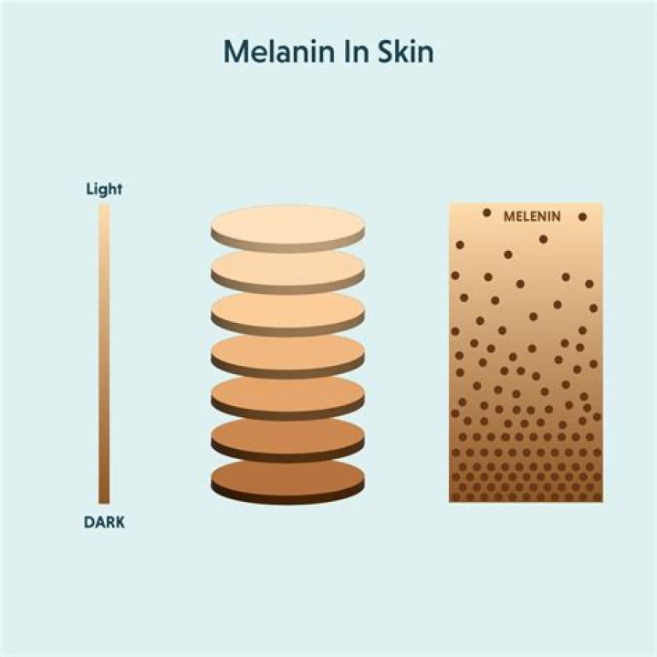 Tones of Melanin Net Worth: A Deep Dive into the Brand's Financial Success