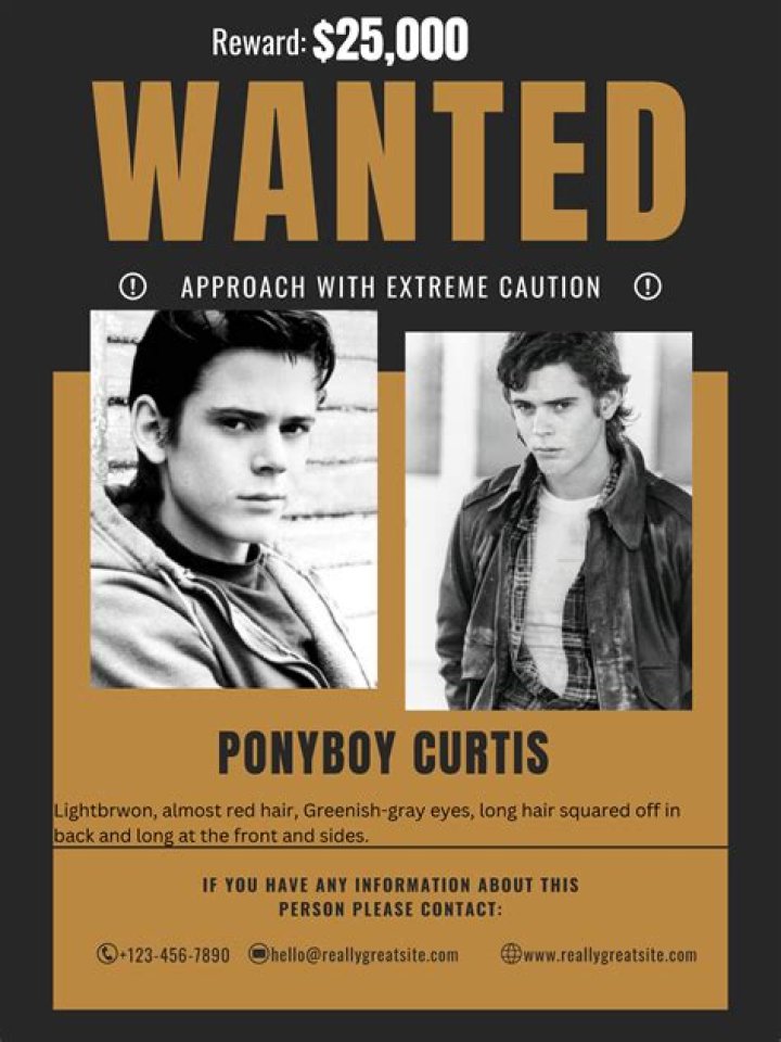 Traits for Ponyboy in The Outsiders: A Deep Dive into His Character