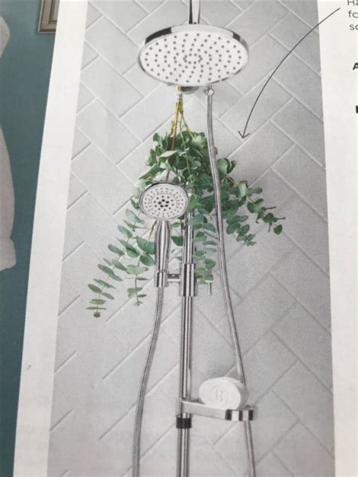 Transform Your Shower Experience with Eucalyptus