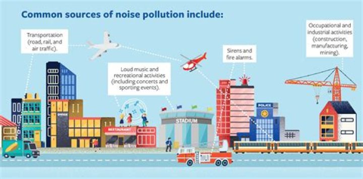 Trump's Ear Now: Understanding the Impact of Noise Pollution on Health and Well-Being