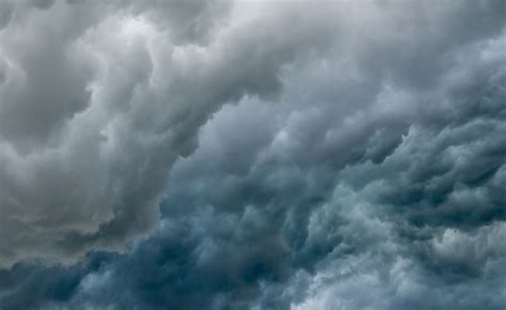 Twitchy: Understanding the Phenomenon of Twitch Culture and Community