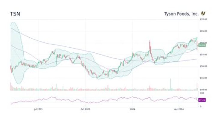 Tyson Foods Stock Forecast: Expert Predictions and Market Analysis