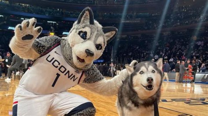 UConn Coach: Unveiling the Mastery Behind the Huskies' Success
