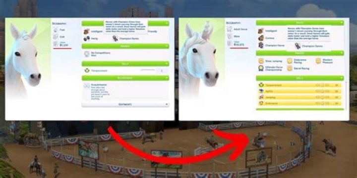 Ultimate Guide: How to Get Red Meat in The Sims 4