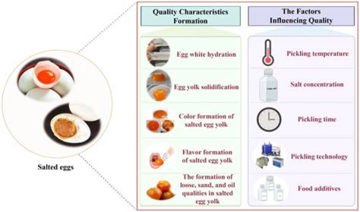 Ultimate Guide to Determining the Freshness of Your Eggs