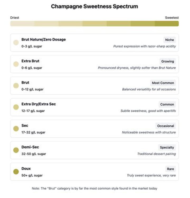 Understanding Champagne Problems: A Deep Dive into Its Meaning