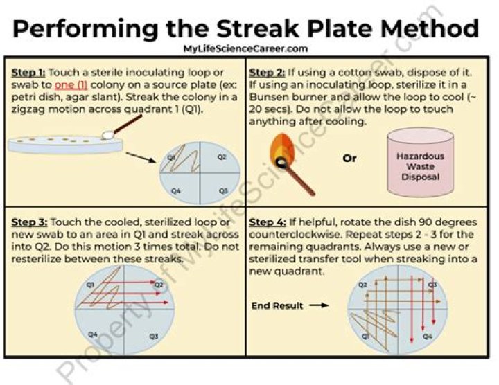 Understanding Streaking: The Fascinating Trend and Its Implications