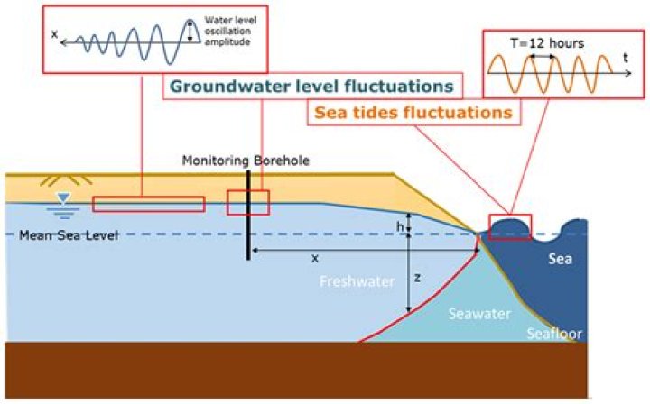 Understanding the Phenomenon of "In Ubbed": An In-Depth Exploration