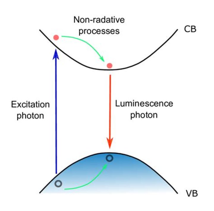 Understanding the Phenomenon of Sketch Video Leak on Twitter