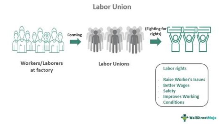 Understanding the Power of SEIU Labor Union: A Comprehensive Guide