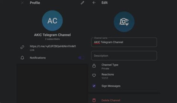 Unleashing the Power of Channel in Telegram: A Comprehensive Guide