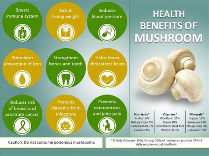 Unlock the Power of Shiitake Mushroom Benefits for a Healthier You