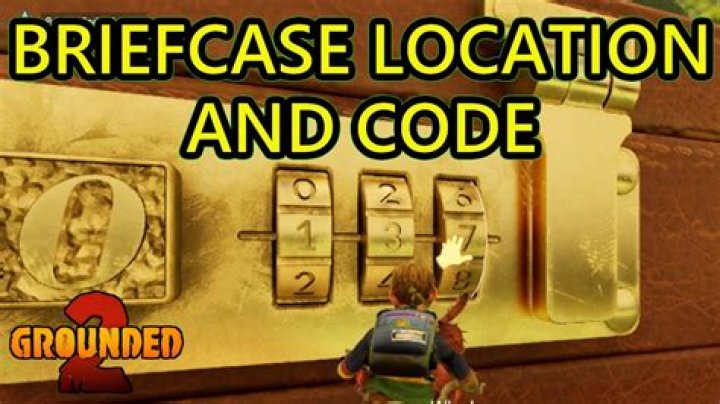 Unlocking the Mystery: The Dayzakhal Briefcase Location