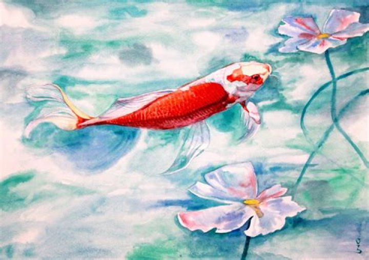 Unraveling the Mystery of the Strange Japanese Song with a Koi Fish