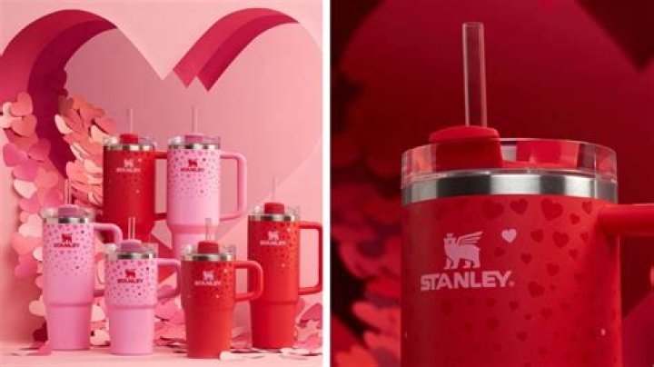 Unveiling the Charm of the Stanley Valentine Cup