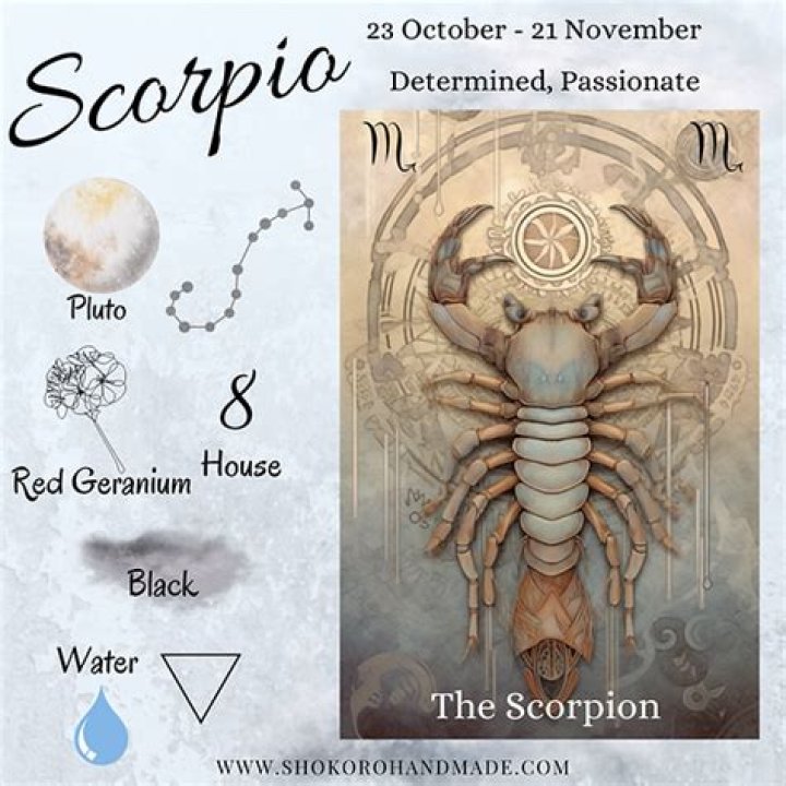 Unveiling the Mysteries of Male Scorpio: A Comprehensive Guide