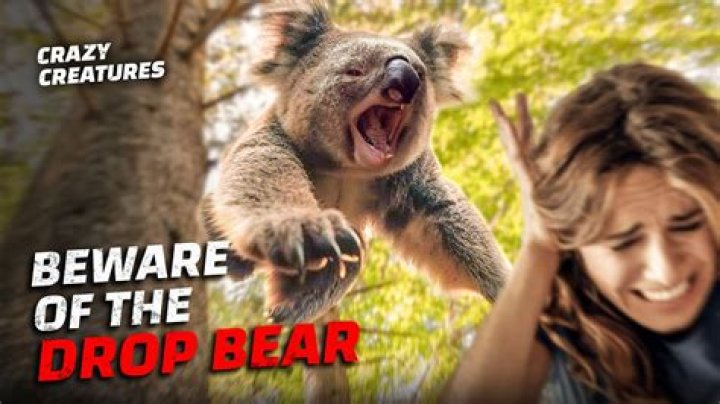Unveiling the Mysteries of the Drop Bear Australia