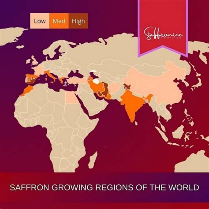 Unveiling the Origins of Saffron: Where Does It Come From?