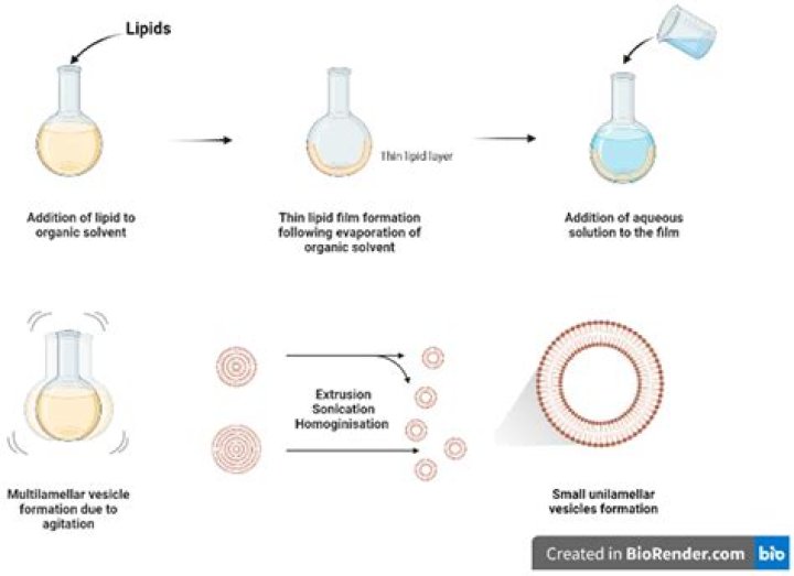 Viral Kanf: Exploring the Phenomenon and Its Impact