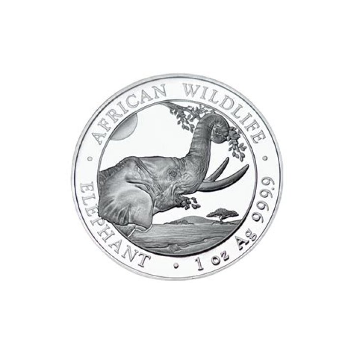 Wasmo: A Comprehensive Guide to Understanding the Phenomenon