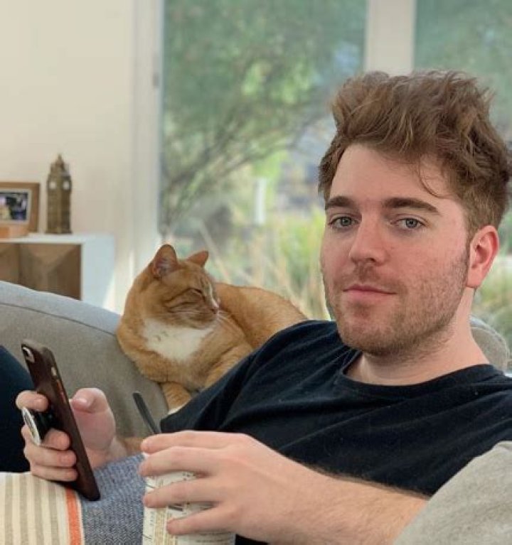 What Did Shane Dawson Do to His Cat? Unveiling the Truth Behind the Controversy