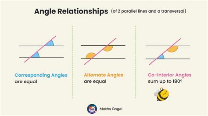 What Do Angles Look Like? Understanding the Visual Representation of Angles