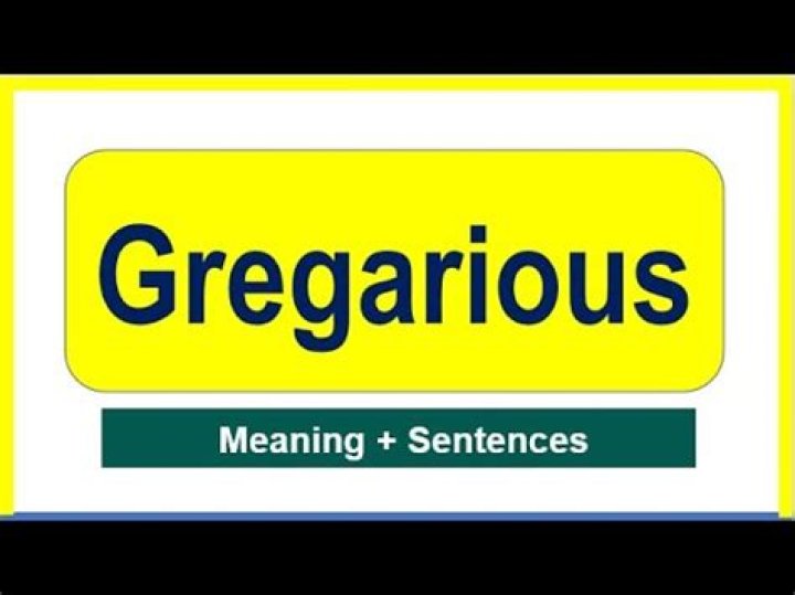 What Does Gregarious Mean? A Comprehensive Guide to Understanding Gregarious Behavior
