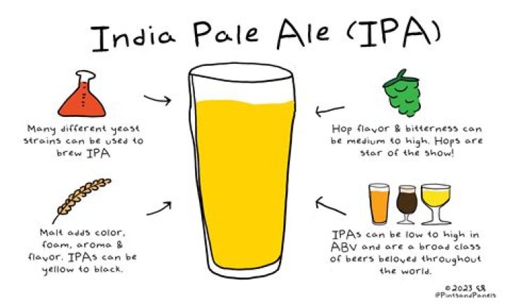 What Does IPA Beer Mean? A Comprehensive Guide to India Pale Ale
