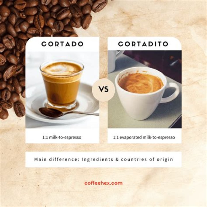 What is Cortado? A Comprehensive Guide to This Popular Coffee Beverage