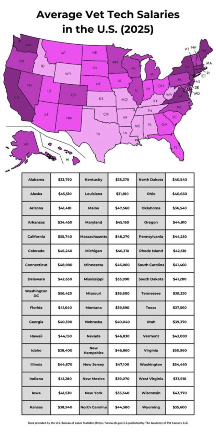 What is the Yearly Salary of a Vet Tech? A Comprehensive Guide