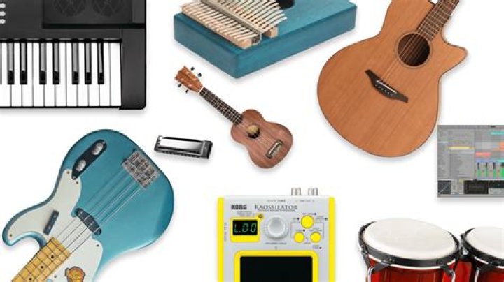 Which Is the Easiest Instrument to Learn: A Comprehensive Guide for Beginners