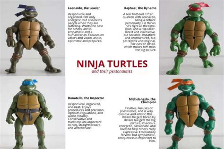 Which Teenage Mutant Ninja Turtle is Purple: A Comprehensive Guide
