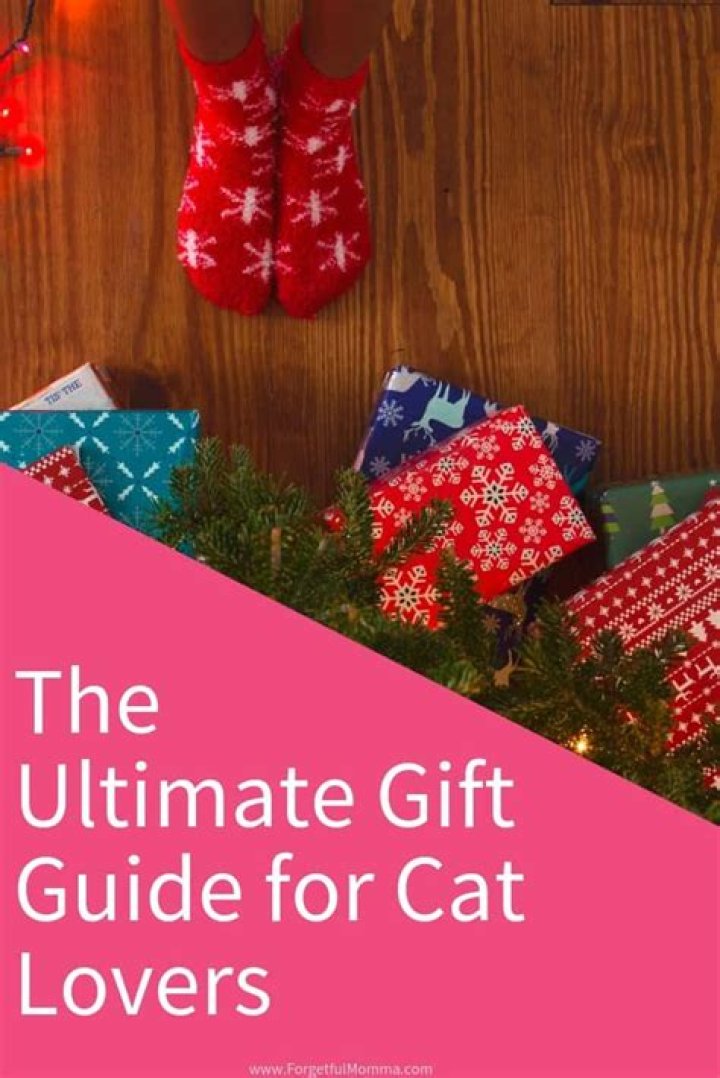 White Cat Characteristics: A Comprehensive Guide for Cat Lovers