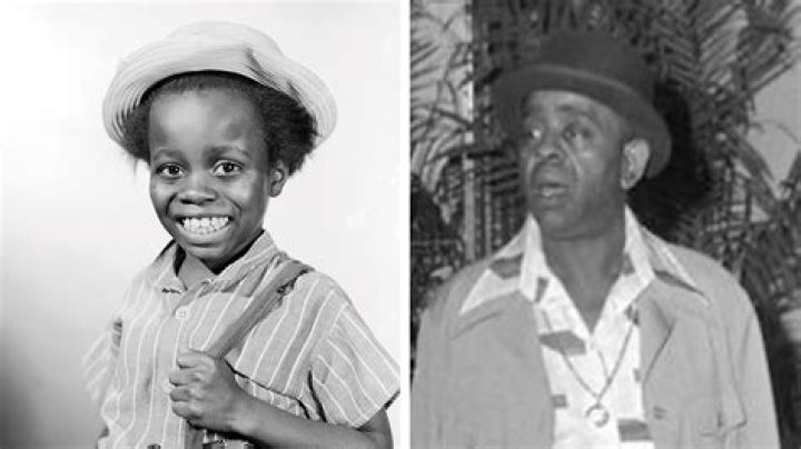 Who Is Buckwheat from Little Rascals: A Comprehensive Guide