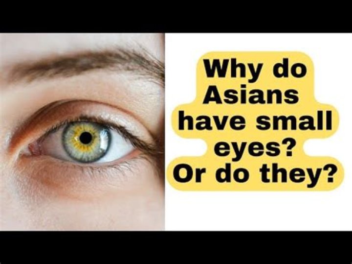 Why Do Asians Have Small Eyes? Debunking Myths and Understanding the Science Behind It