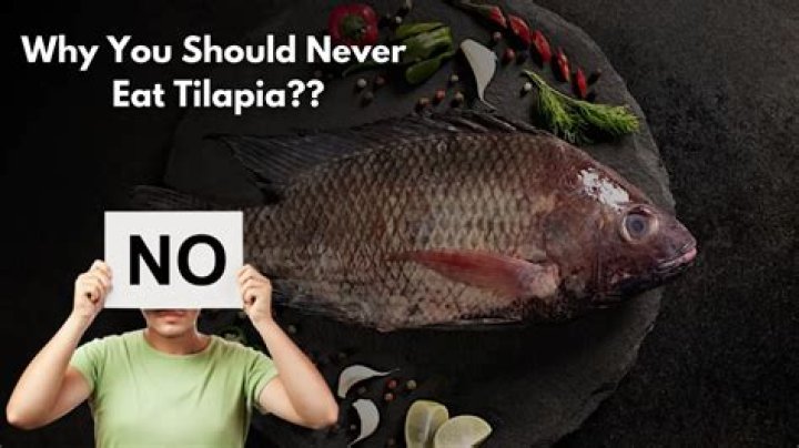 Why You Should Never Eat Tilapia: A Comprehensive Guide